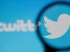 Се продава логото на Твитер! Еве колкава ќе биде цената за славниот Лари